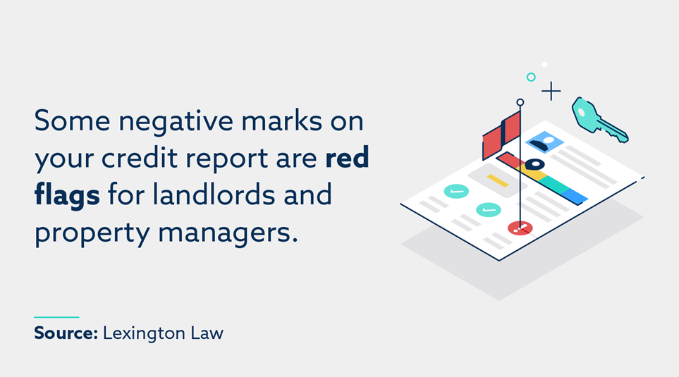 Some negative marks on your credit report are red flags for landlords and property managers.